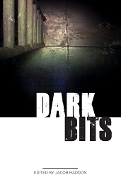 Dark Bits